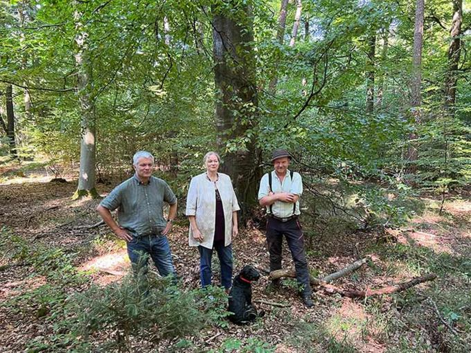 (v.l.) Forstamtsleiter Hubert Krenzler, Bürgermeisterin Petra Kleine und Andreas Naumann, Forstamt, im städtischen Forst (Foto: Stadt Ingolstadt / Michel)