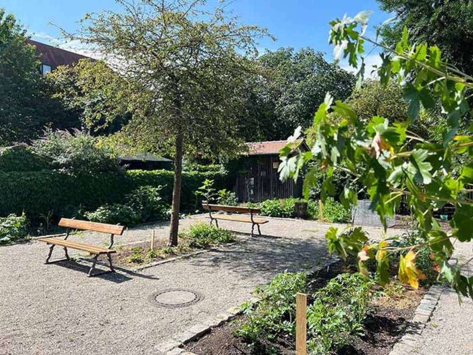 Urban Gardening an der Jahnstraße (Foto: Stadt Ingolstadt / Michel)