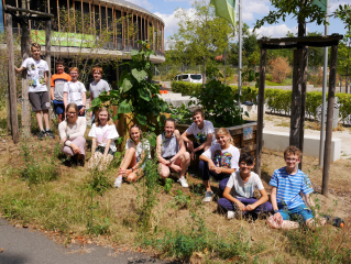 Würzburger Schüler:innen engagieren sich für die Umwelt - Image