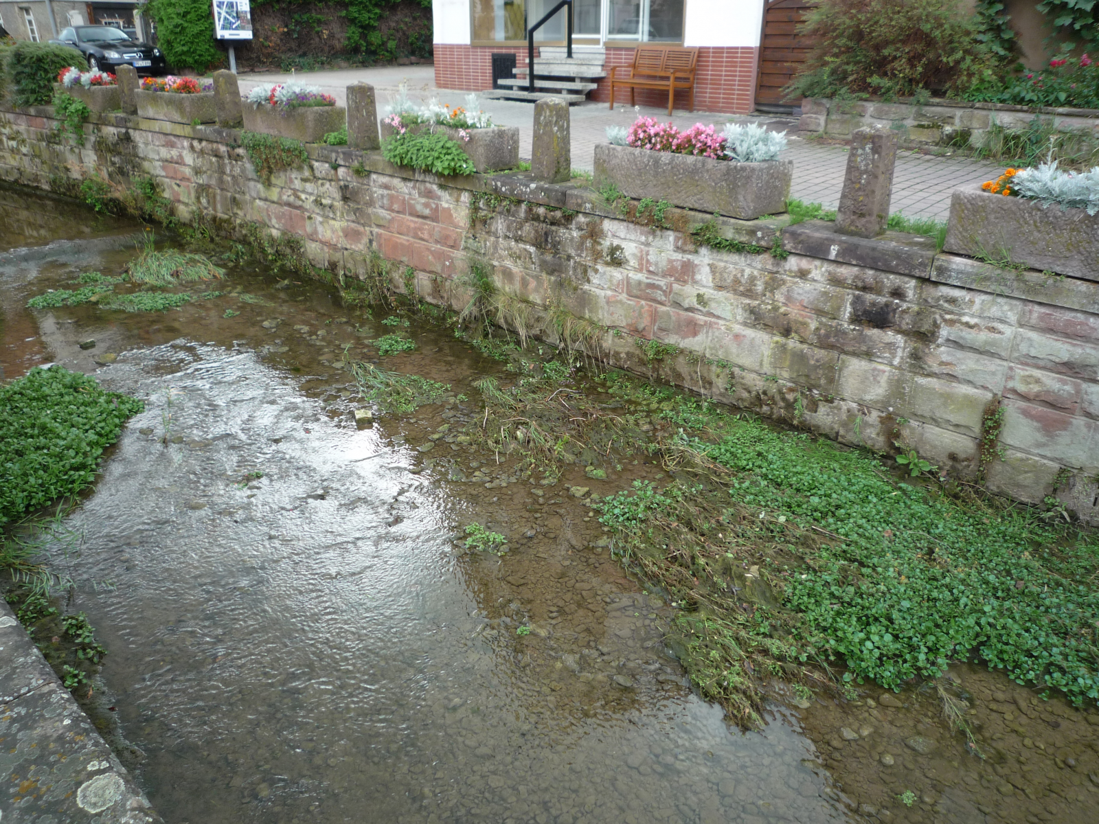 Arnbach in Ellmendingen: Der Wasserstand ist fast wieder so niedrig wie vor den Niederschlägen am Wochenende.