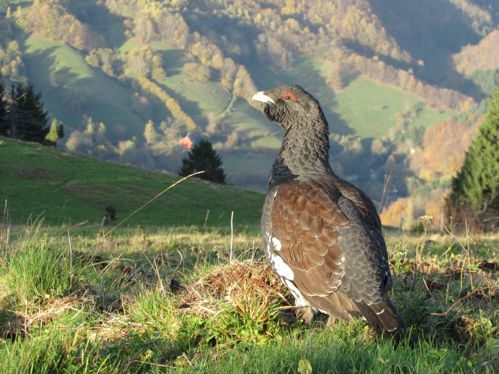 Naturschutz und soziales Engagement im Biosphärengebiet: