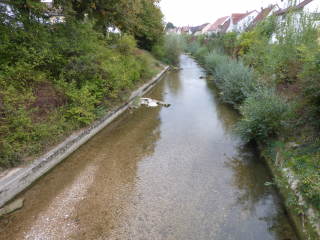 Machbarkeitsstudie zur ökologischen Aufwertung der Lauter (Landkreis Esslingen) - Image