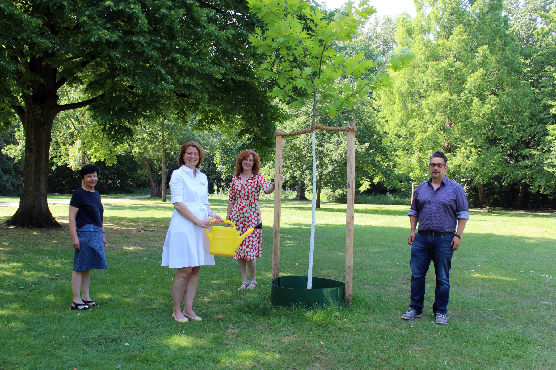 Klimaunempfindliche Baumsorten im Riegerpark in Gütersloh