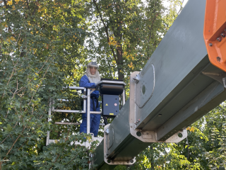 Autobahn Westfalen: Nester des Eichenprozessionsspinners werden beseitigt - Image