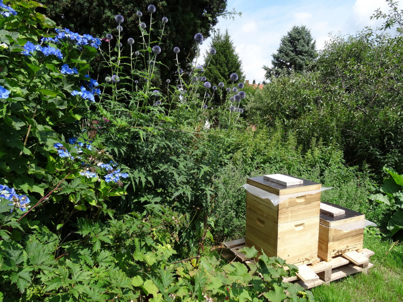 Der Garten summt: Insektenhotels selber bauen