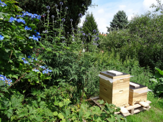 Der Garten summt: Insektenhotels selber bauen - Image