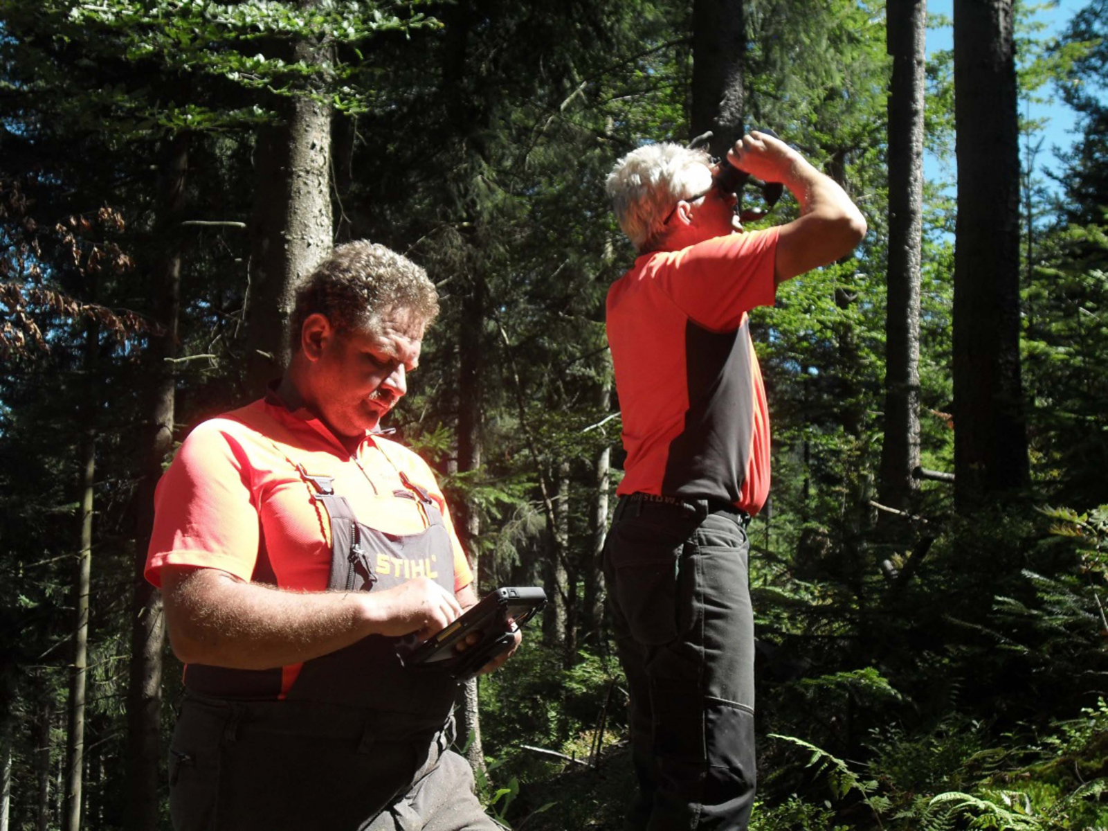 Erfolgreiches Borkenkäfermanagement in der Nationalpark-Pufferzone