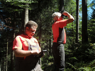 Erfolgreiches Borkenkäfermanagement in der Nationalpark-Pufferzone - Image