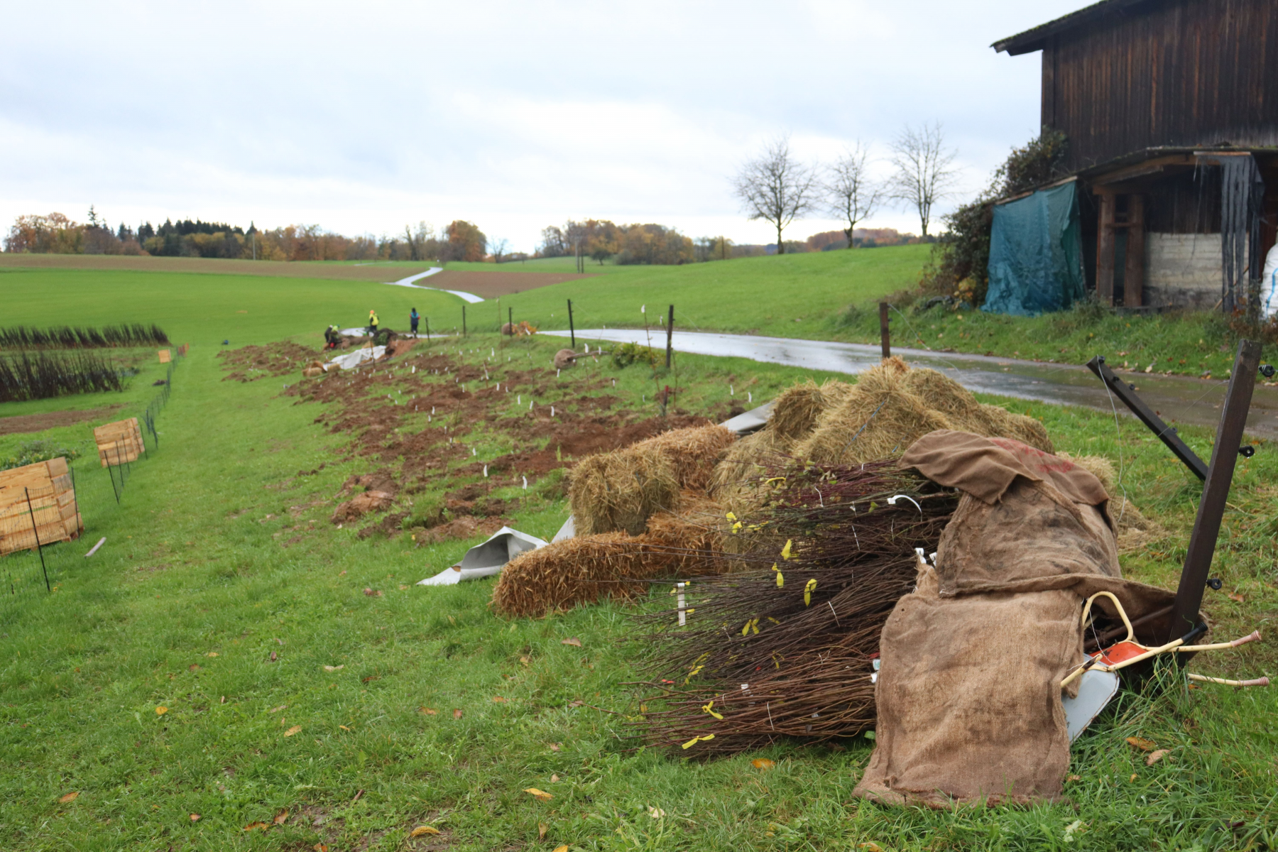 Vielfalt fördert Vielfalt - 140 Meter Feldhecke für mehr Biodiversität