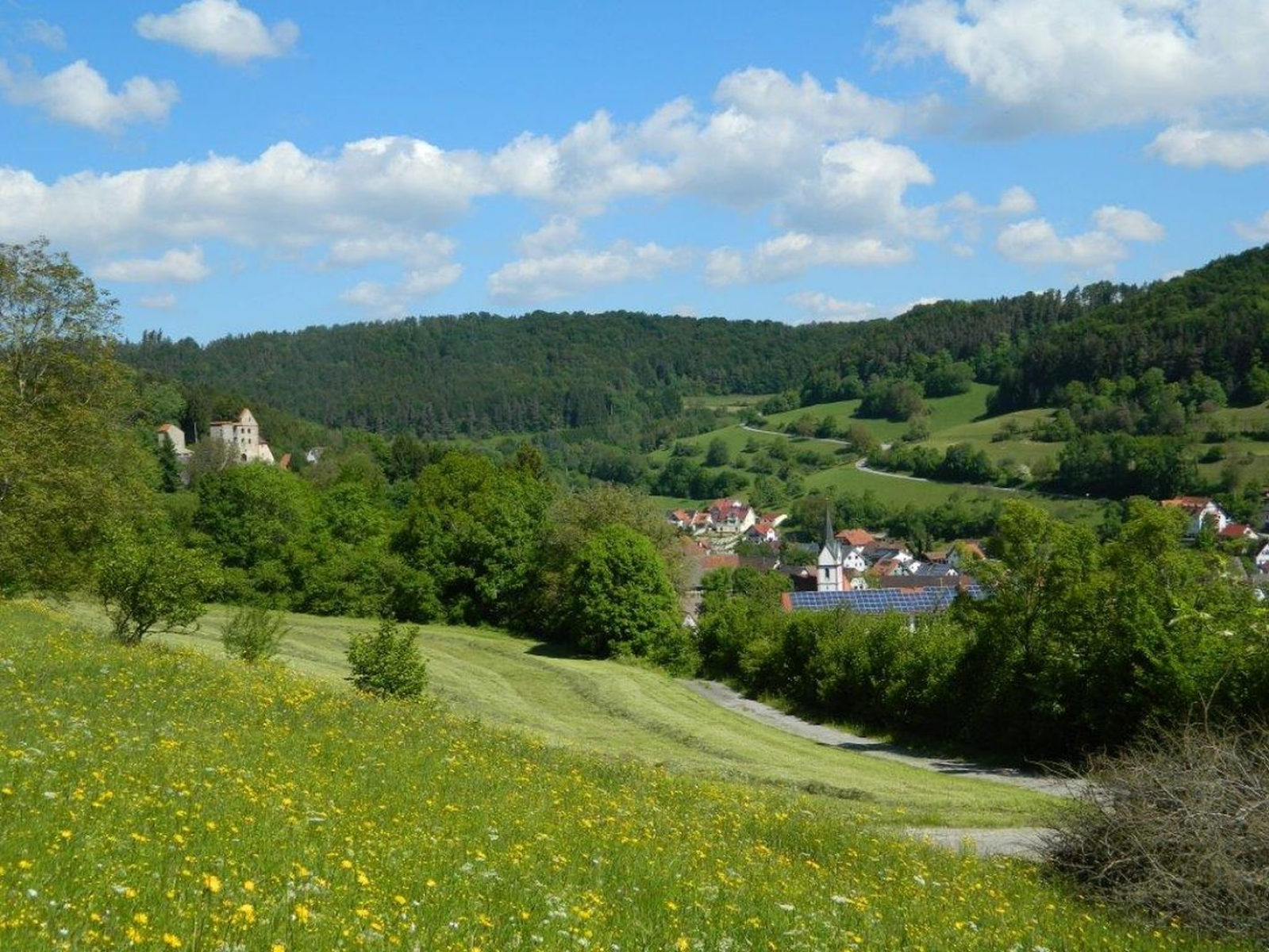 Natura 2000-Managementplan für Horber Neckarhänge ist fertiggestellt