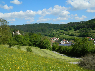 Natura 2000-Managementplan für Horber Neckarhänge ist fertiggestellt - Image