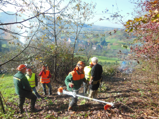 An den Ortenauer Landschaftspflegetagen engagieren sich Freiwillige für eine offene Landschaft. Nachweis: Gemeinde Ohlsbach