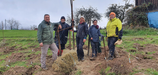 Vielfalt fördert Vielfalt - 140 Meter Feldhecke für mehr Biodiversität