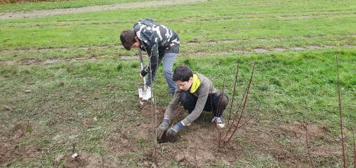 Heckenpflanzung für den Naturschutz - Image