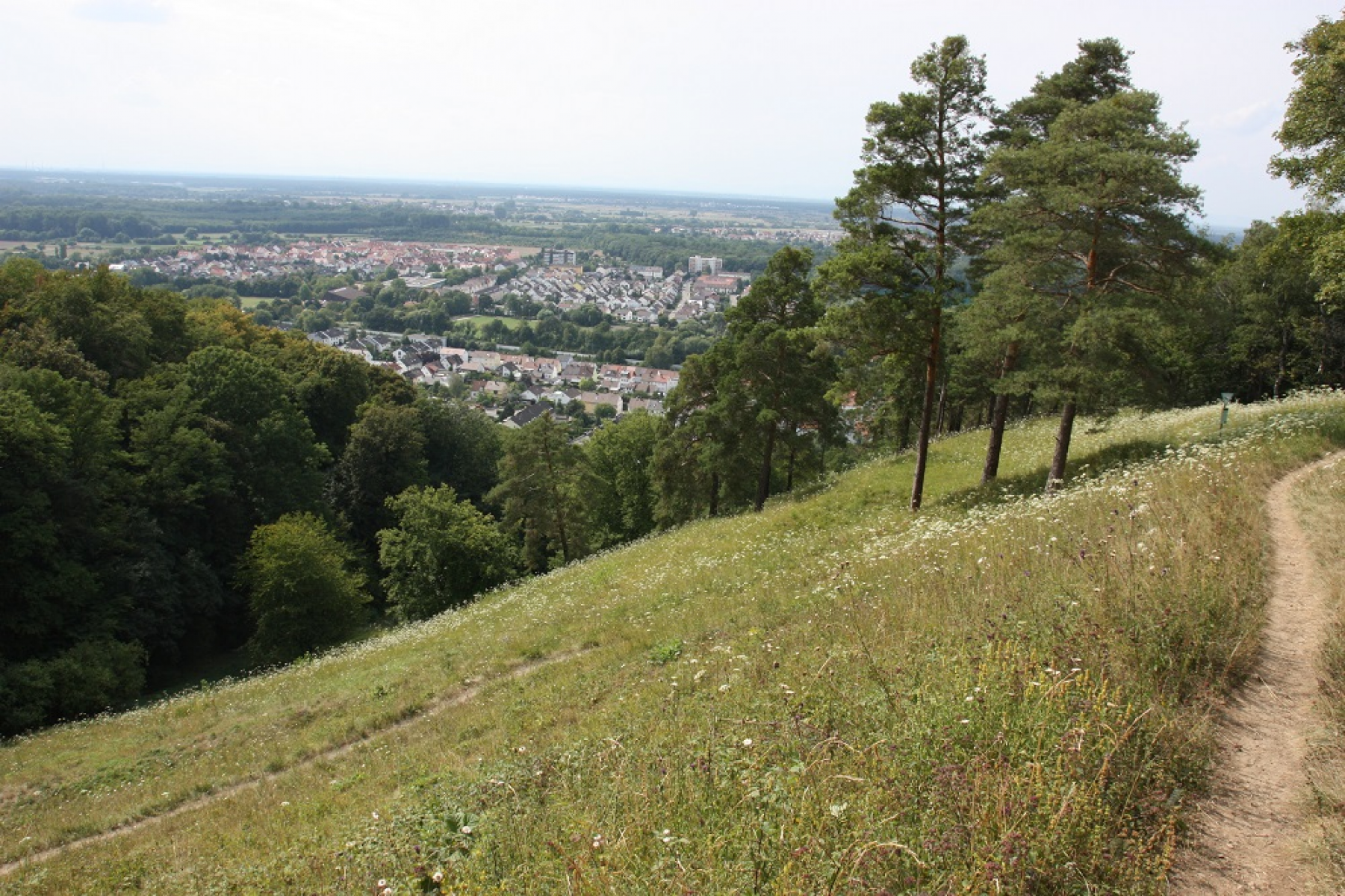 Neue Absperrung im Naturschutzgebiet Michaelsberg und Habichtsbuckel