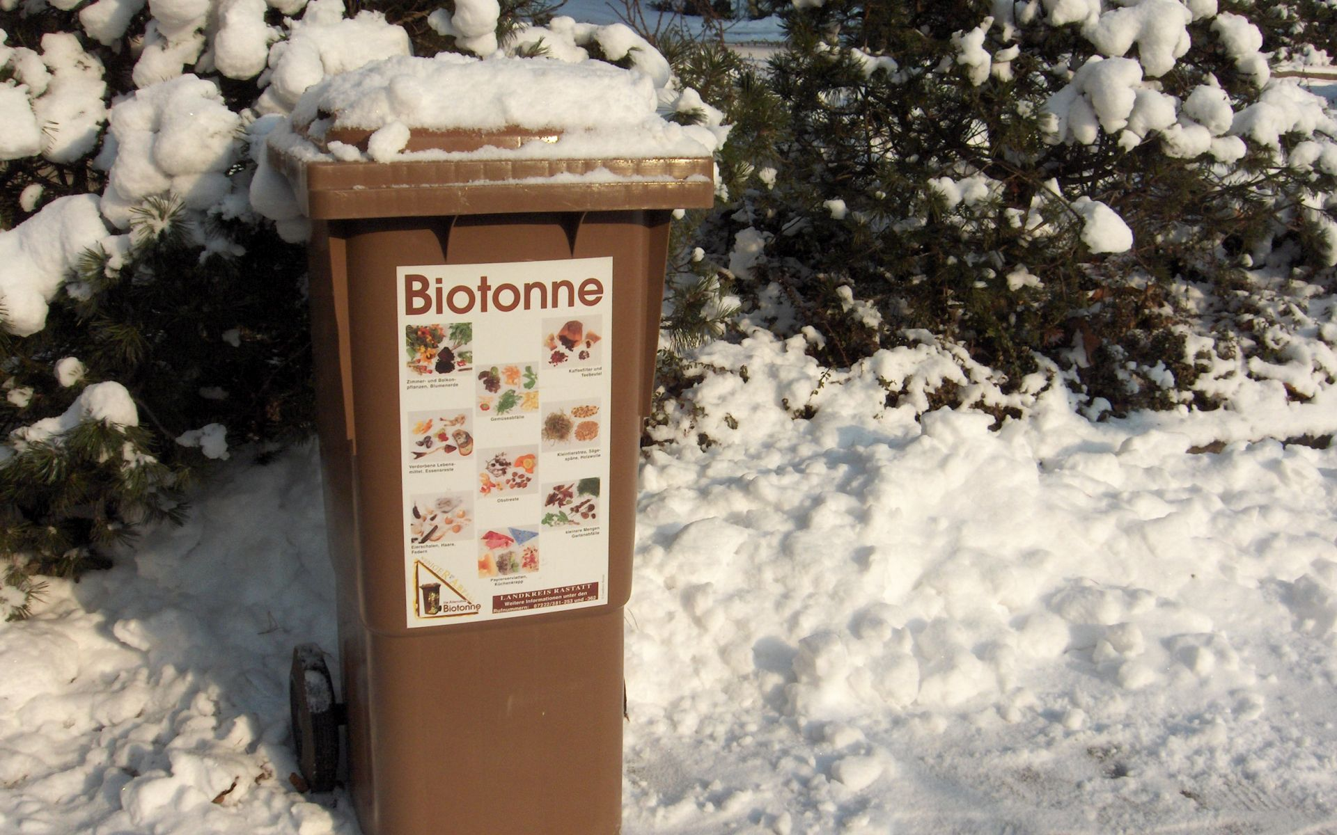 Tipps für die Biotonne im Winter