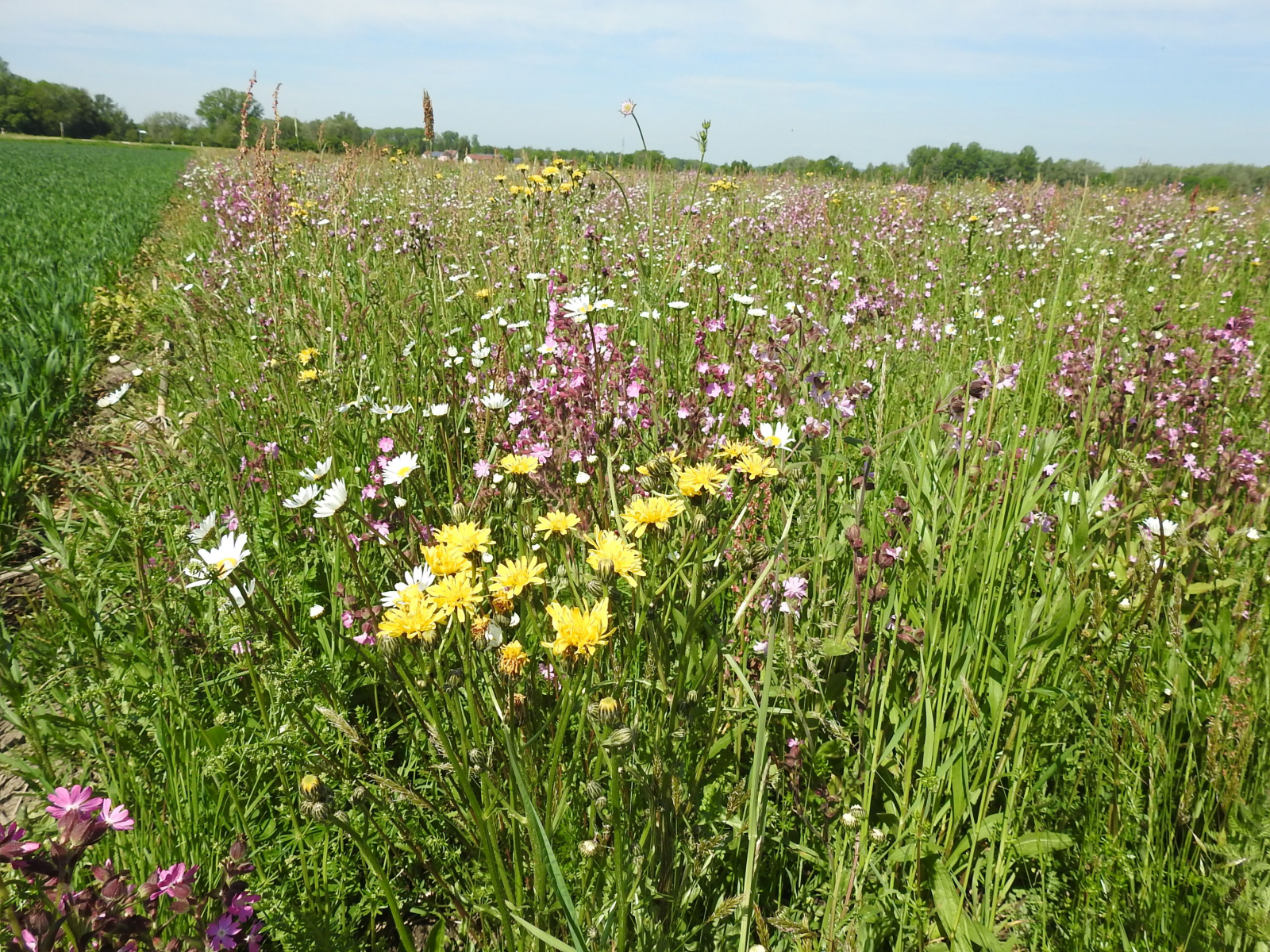 Immer mehr Landwirte dienen dem Naturschutz   