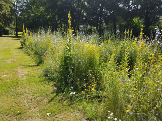 Grünanlagen in Minden werden auch in Corona-Zeiten gepflegt - Image