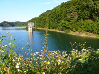 Blick auf die Wahnbachtalsperre (Foto: Wahnbachtalsperrenverband)