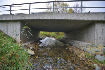 „Laufsteg“ für den Fischotter eröffnet - Image