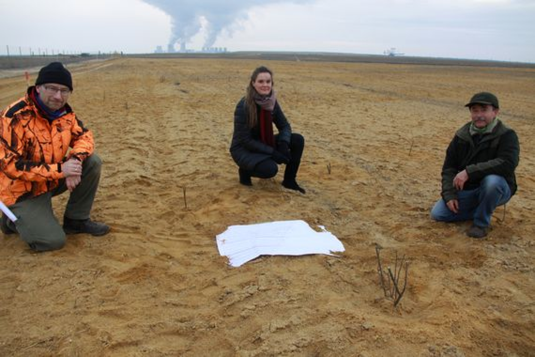 Heimische Wildpflanzen für den Tagebau Nochten