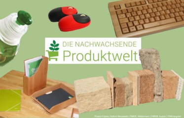 Das nachhaltige Produkt im standardisierten öffentlichen Einkauf - Image