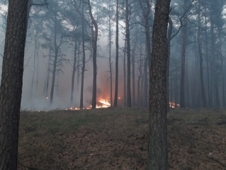 Schutzstreifen, Löschwasser, feuerbeständige Technik:  - Image