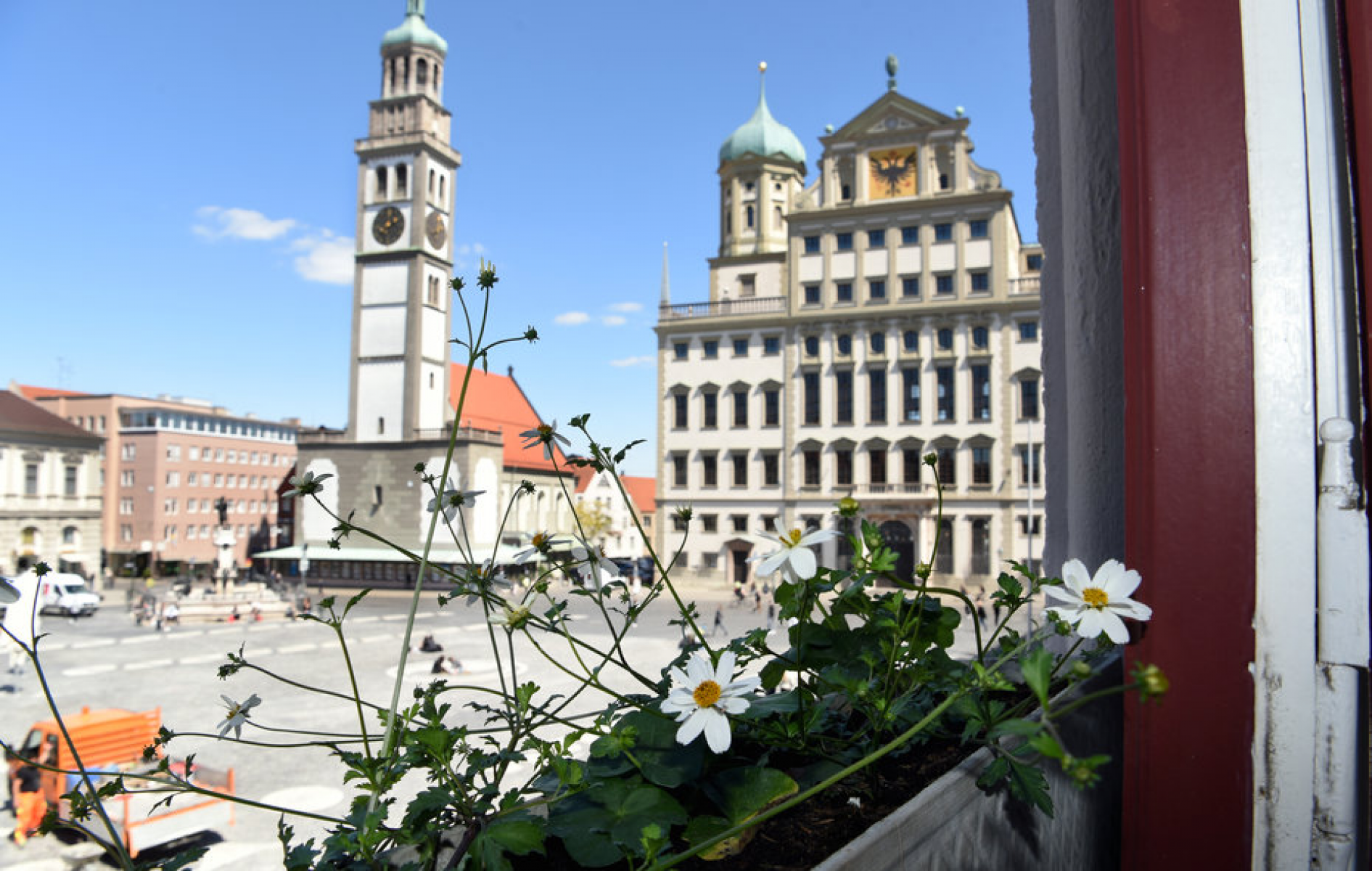 Bienen „fliegen“ auf den weißen Gold-Zweizahn der Sorte Pirate´s Pearl, wie er in die Blumenkästen am Verwaltungsgebäude der Stadt gepflanzt wurde. Foto: Ruth Plössel/Stadt Augsburg