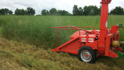 Ernte von Szarvasi-Gras. Foto: Landwirtschaftliche Lehranstalten Triesdorf