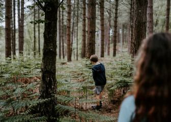 ForestValue: BMEL fördert europäische Forschungskooperation im Bereich Forst und Holz - Image