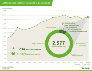 Anbau nachwachsender Rohstoffe blieb 2020 stabil - Image