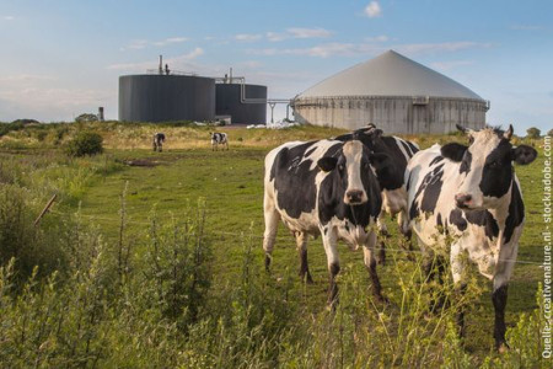 Modellvorhaben für die Vergärung von Wirtschaftsdüngern