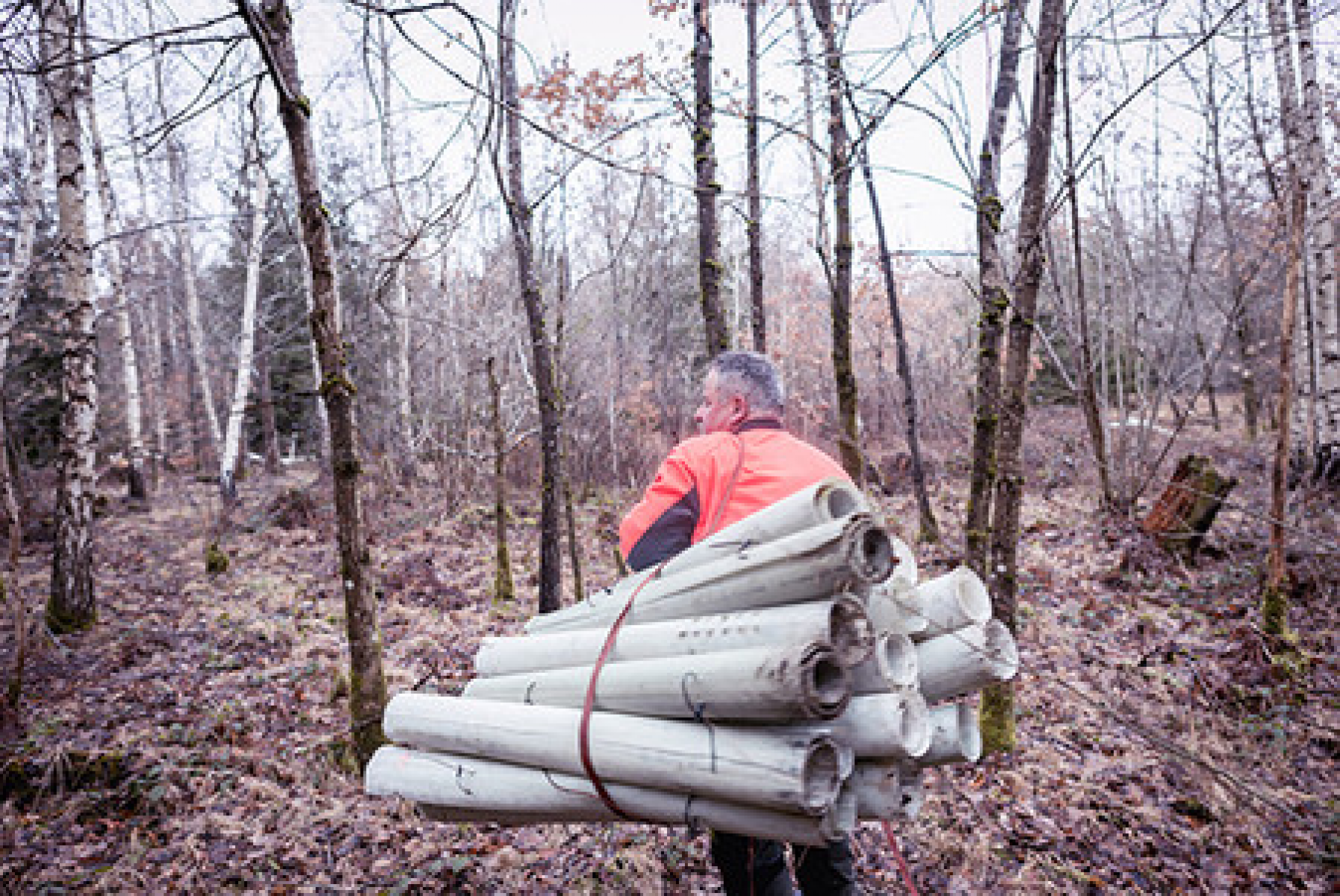 Plastikfreier Wald: 19. März wird zum Forest-Cleanup-Day