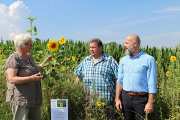 Dr. Angela Homm-Belzer, Arbeitsgemeinschaft Gewässerschutz und Landwirtschaft, Landwirt Rüdiger Mayer und ENTEGA-Projektleiter Jens-Uwe Pätsch (v.l.) begutachten einen Blühstreifen 