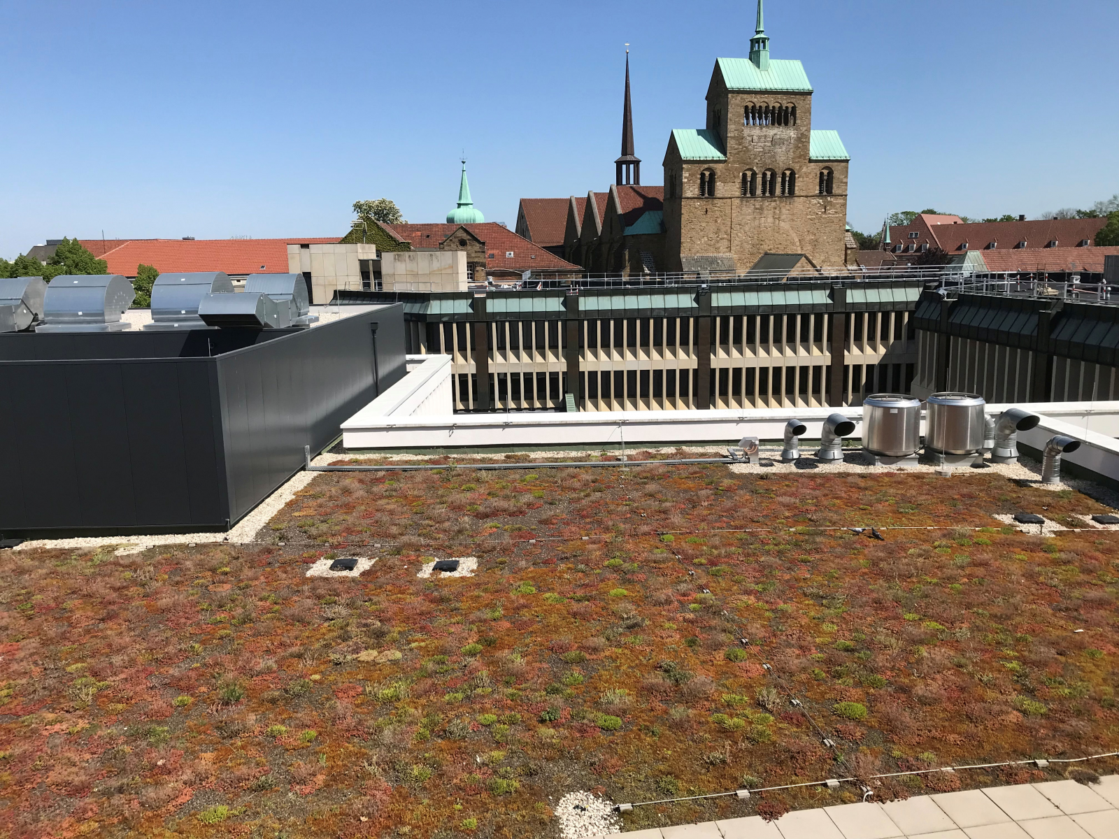 Große Artenvielfalt im Mindener Stadtgebiet