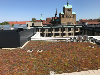 Große Artenvielfalt im Mindener Stadtgebiet - Image