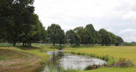 Natur pur - die Dalke darf sich wieder frei entfalten - Image