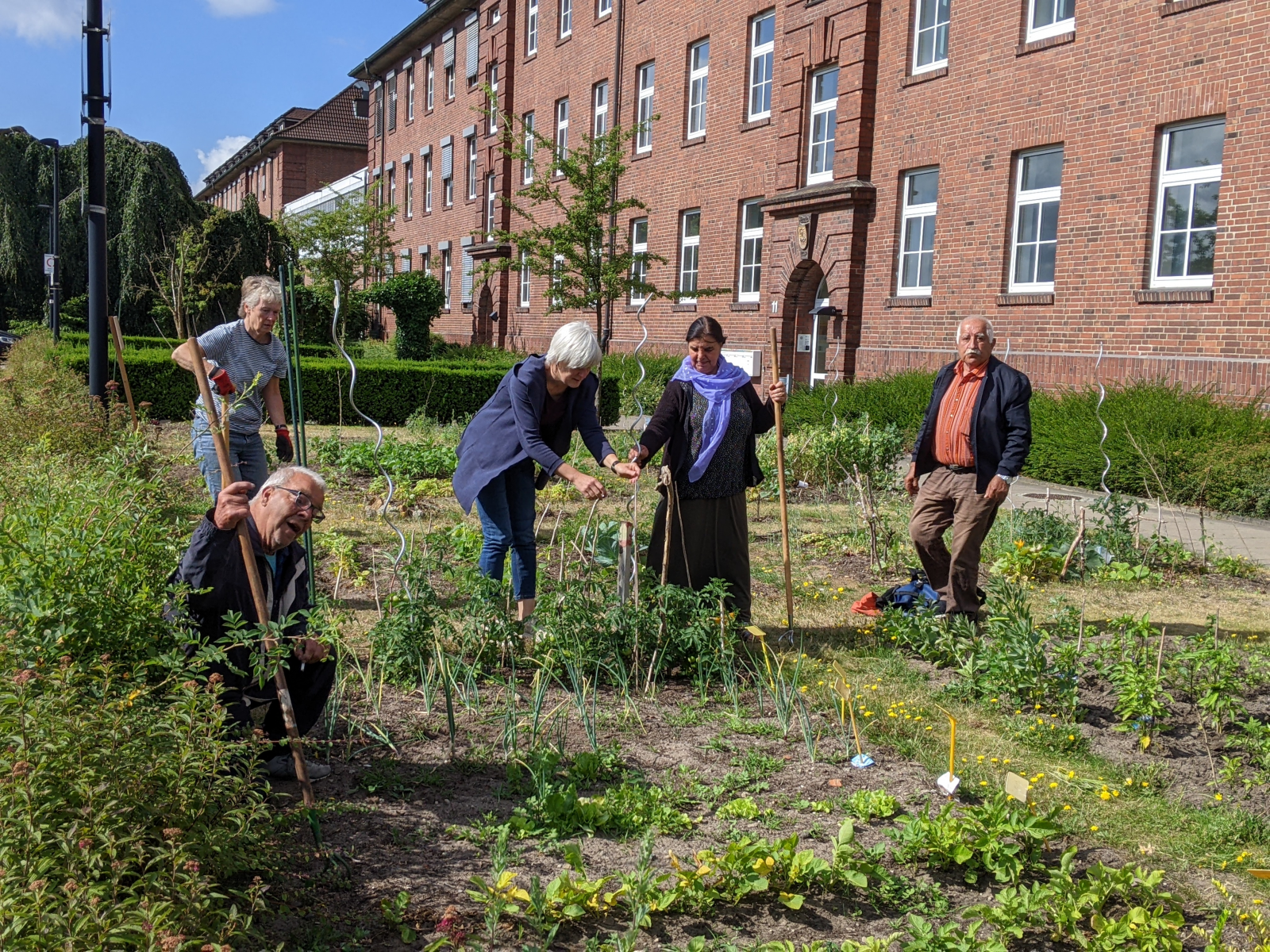 Lust auf Gartenarbeit? Salat, Tomaten und Co. suchen grünen Daumen!