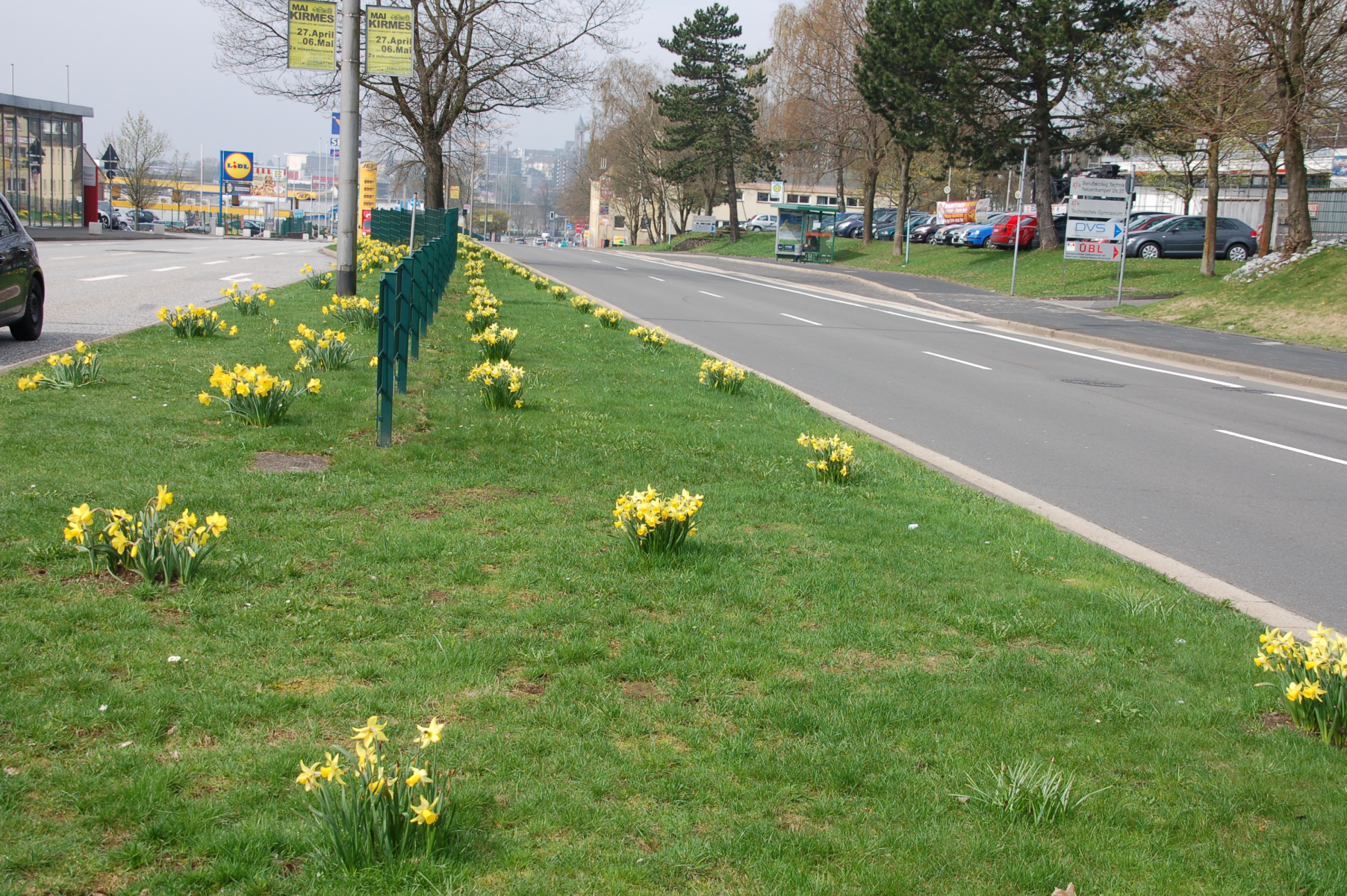 Große Blumenpflanzaktion als Dankeschön für die EWR-Ökostromkunden