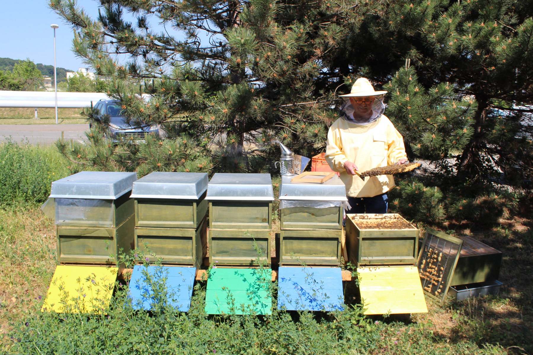 EGG als „Thüringer Bienenfreund 2018“ ausgezeichnet – Hauseigener Honig ab sofort im Verkauf