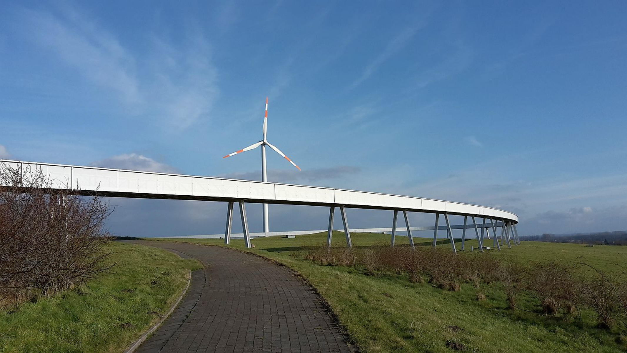 Stadtnatur auf dem Energieberg in Hamburg