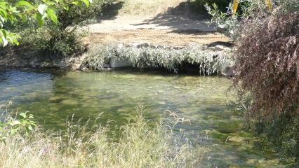 Wutach bei Tiengen (Waldshut-Tiengen) wird ökologische aufgewertet