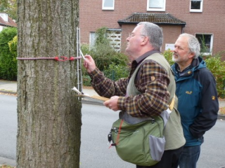 Flechtenerfassung in Gütersloh zur Überprüfung der Luftqualität - Image