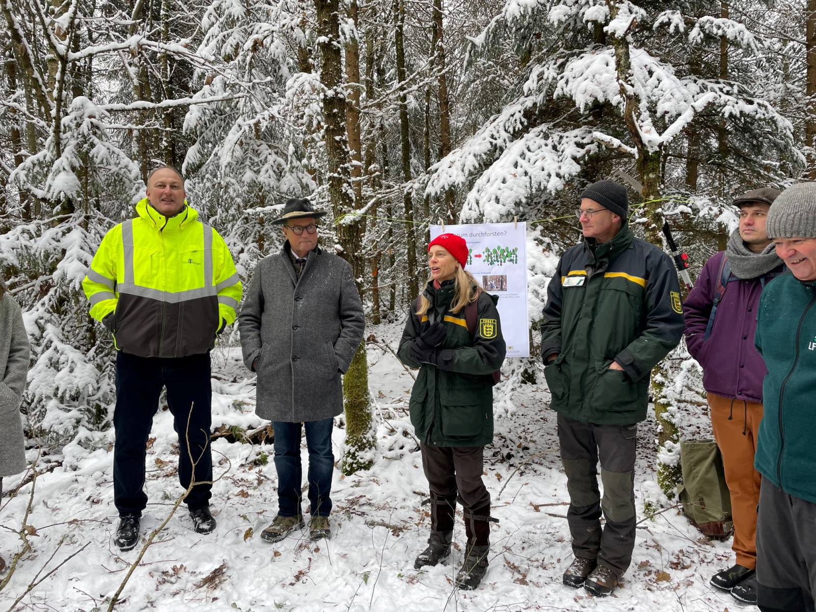 Der Klimawandel verändert den Wald: