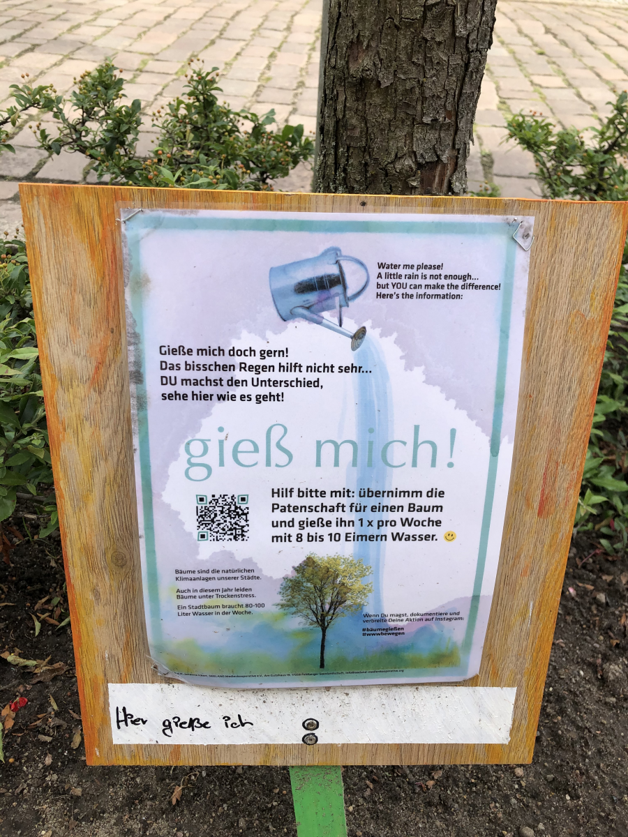 Gemeinsam gegen die Folgen des Klimawandels in Rostock