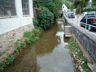 Aufgrund der nach wie vor prekären Niedrigwassersituation wie hier aktuell im Grenzbach in Mönsheim, beschränkt das Landratsamt die Wasserentnahme aus den Gewässern im Enzkreis.