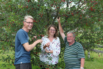 Bild-Nachweis: Vera Noy/ Verschönerungsverein Gresgen  / Foto: Gefährdete Kirschsorte: Andreas Lang, Vera Noy und Erwin Vollmer (von links) vom Verschönerungsverein Gresgen setzen sich für den Erhalt der Gresger Ammele ein.