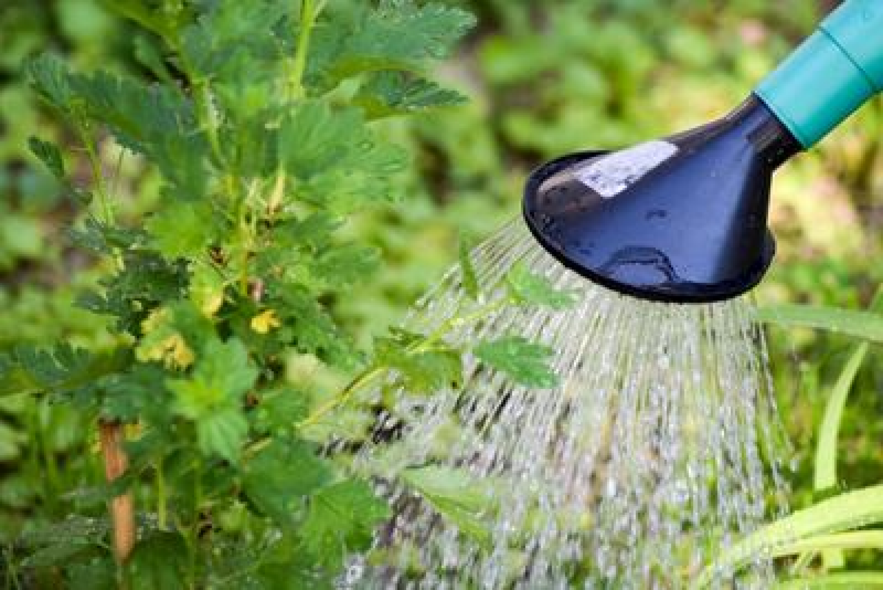 Aktuelle Werte zur Grundwasserbelastung im Unteren Illertal