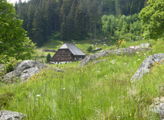 Das Regierungspräsidium sucht „Höfe für Biologische Vielfalt“. Eine naturschonende Bewirtschaftung wie um diesen Schwarzwaldhof am Rohrhardsberg (Schwarzwald-Baar-Kreis) ist ein wichtiges Kriterium im Wettbewerb. Foto: Claudia Leitz/ RPF