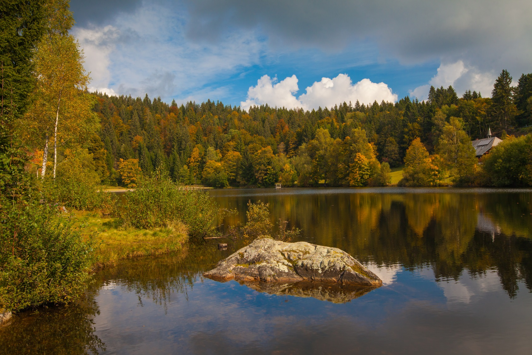 Wald in Zeiten des Klimawandels